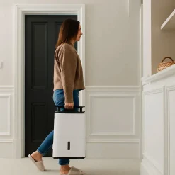 Déshumidificateur purificateur ARETE Two 12L/j