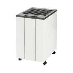 Déshumidificateur Wood's LD40 13L/J blanc