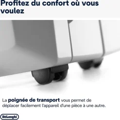 Déshumidificateur Delonghi DD233P 30L/J 60m²