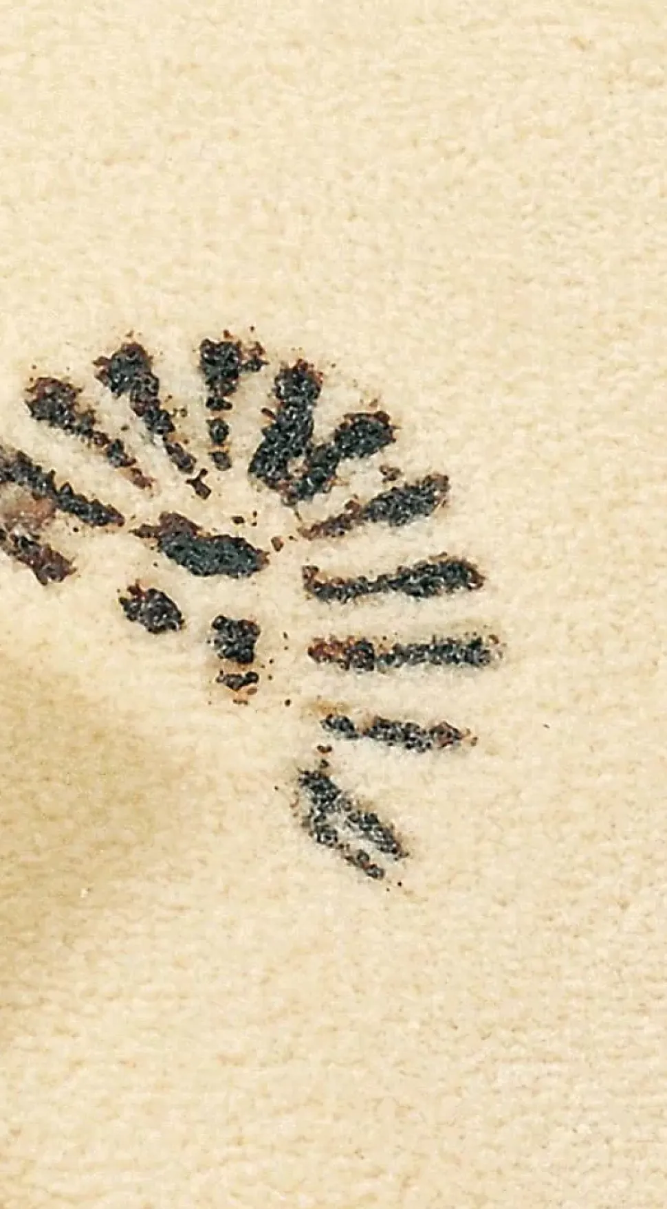 Détachant tissu TexClean 500ml Tissu Matelas Canapé et Tapis Détachant et Nettoyant Professionnel