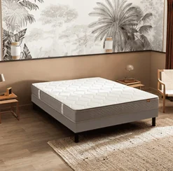 Ensemble Epeda ITINERAIRE + Sommier Escale + Pieds 80x200 Ressorts