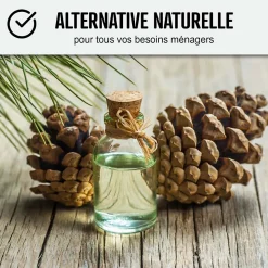 Essence de térébenthine pure gemme bois : TEREBENTHINE 101 - 1 L - ARCANE INDUSTRIES