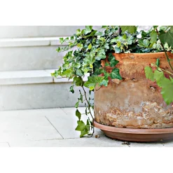 Green Free - Élimination des dépôts verts - Berdy - 5 L