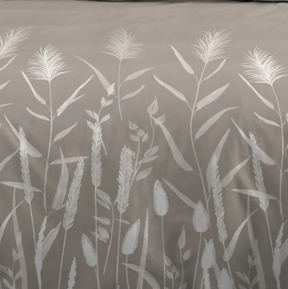 Housse de couette 260x240 PAMPA + 2 taies coton 57 fils