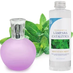 Lampe catalytique Fuchsia Mat + Arôme Mountain Mint 500 ml - Élimine les mauvaises odeurs, parfume et améliore la qualité de l'air