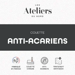 Les Ateliers du Nord - Couette Chaude Anti-acariens 200x200cm