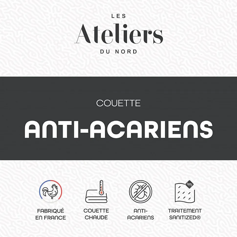 Les Ateliers du Nord - Couette Chaude Anti-acariens 200x200cm