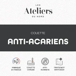 Les Ateliers du Nord - Couette Chaude Anti-acariens 140x200cm