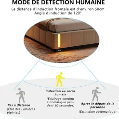 Lit coffre 160x200 cm avec rangement, capitonné velours beige, sommier LED, lattes