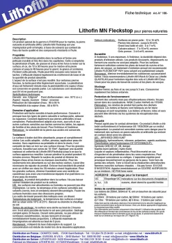 Lithofin mn fleckstop 1 l - Gamme professionnelle