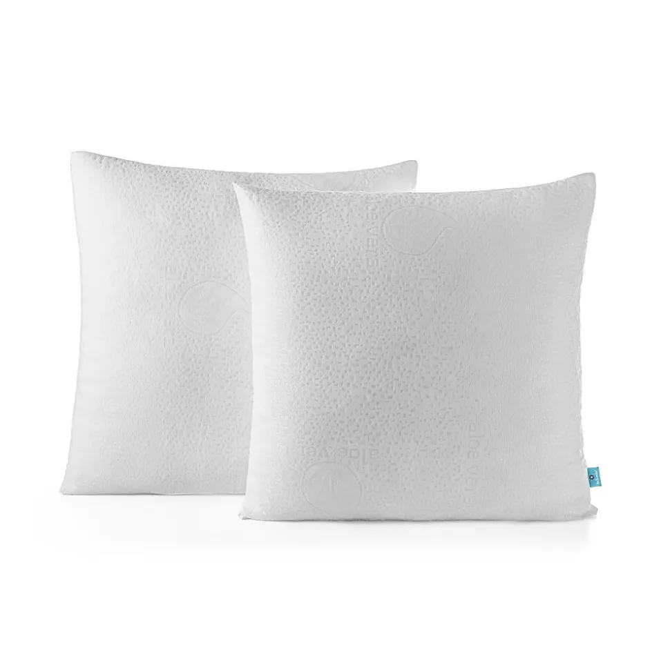 Lot 2 Oreillers 60x60 cm - Tissu Doux Aloe-Vera - Rembourrage copeaux de mousse HR - Mantien Souple