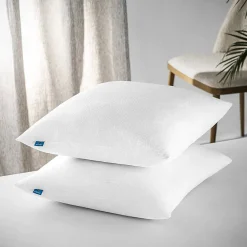 Lot 2 Oreillers 60x60 cm - Tissu Doux Aloe-Vera - Rembourrage copeaux de mousse HR - Mantien Souple