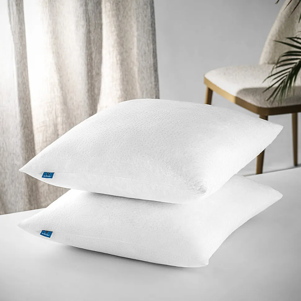 Lot 2 Oreillers 60x60 cm - Tissu Doux Aloe-Vera - Rembourrage copeaux de mousse HR - Mantien Souple