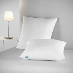 Lot 2 Oreillers 60x60 cm - Tissu Doux Aloe-Vera - Rembourrage copeaux de mousse HR - Mantien Souple