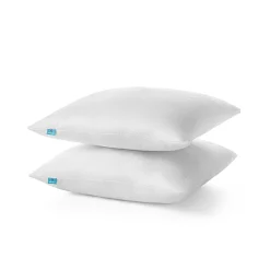 Lot 2 Oreillers 60x60 cm - Tissu Doux Aloe-Vera - Rembourrage copeaux de mousse HR - Mantien Souple