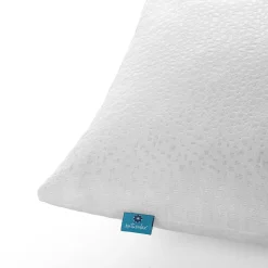 Lot 2 Oreillers 60x60 cm - Tissu Doux Aloe-Vera - Rembourrage copeaux de mousse HR - Mantien Souple