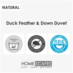 Lot de 2 couettes 4 saisons 200 x 200 cm en duvet et plumes de canard 9 + 4.5 Tog - HOMESCAPES