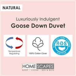 Lot de 2 Couettes Premium 4 saisons en duvet d'oie 9 + 4.5 Tog, 200 x 200 cm - HOMESCAPES