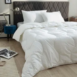 Lot de 2 oreillers 45 x 70 cm Blanrêve Gamme 