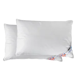 Lot de 2 oreillers en microfibre, 50 x 75 cm - HOMESCAPES