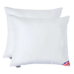 Lot de 2 oreillers en microfibre, 60 x 70 cm - HOMESCAPES