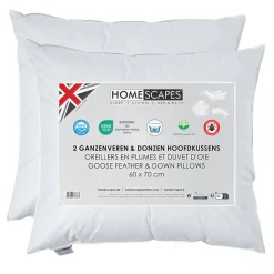 Lot de 2 oreillers en plumes et duvet d'oie, 60 x 70 cm - HOMESCAPES