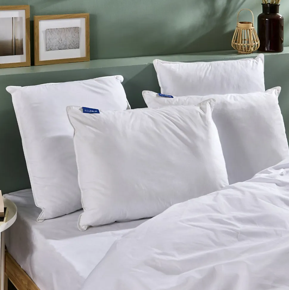 Lot de 2 Oreillers Ferme 65x65cm