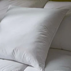 Lot de 2 oreillers Luxotel 60x60 cm Fibres creuses polyester