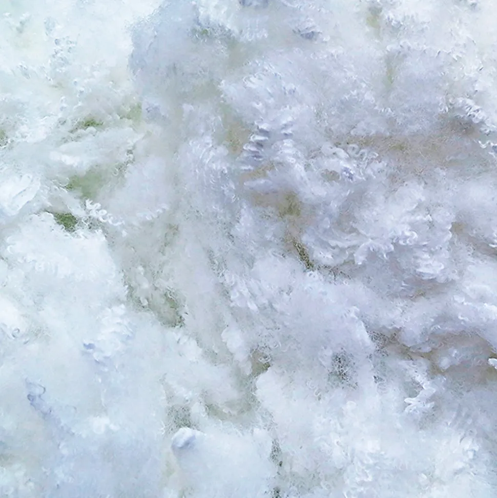 Lot de 4 oreillers Luxotel 60x60 cm Fibres creuses polyester