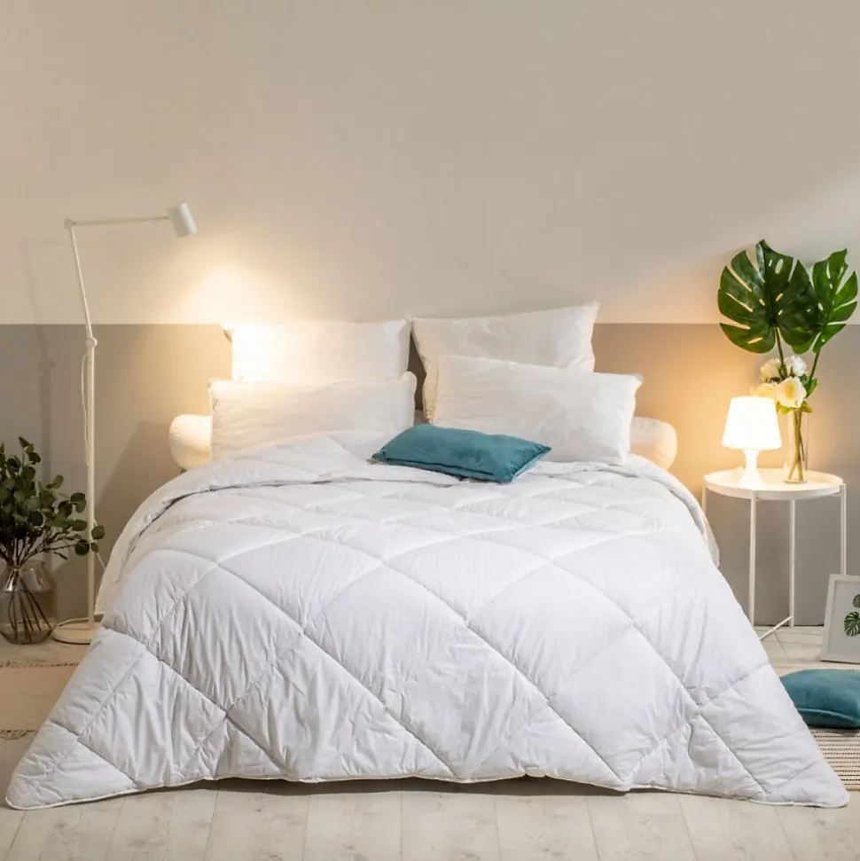 Lot de 2 Oreillers Mémoire de Forme Mixte ANTI-ACARIENS 50x70cm