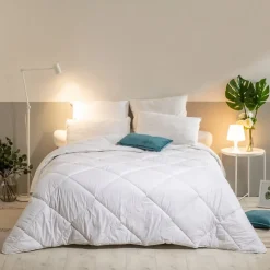 Lot de 2 Oreillers Mémoire de Forme Mixte ANTI-ACARIENS 60x60cm