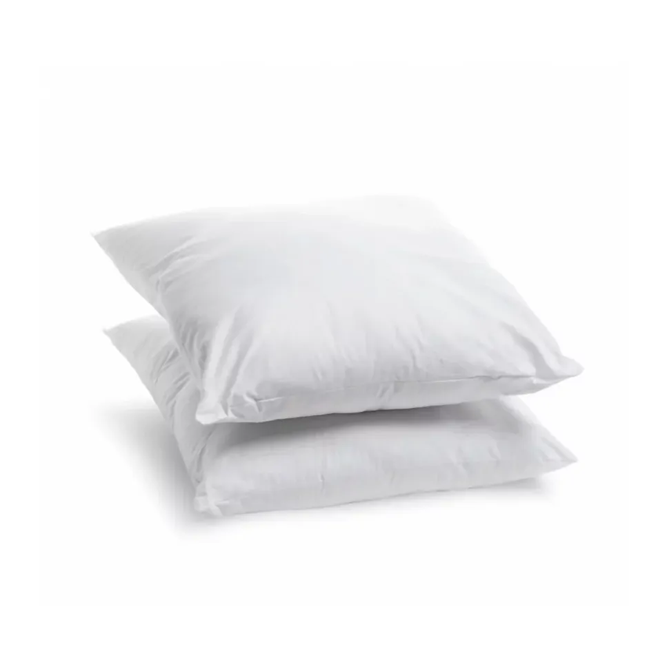 Lot de 2 Oreillers Moelleux 60x60cm LAVABLE À 95 C