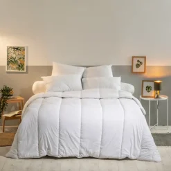 Lot de 2 Oreillers Moelleux 60x60cm LAVABLE À 95 C