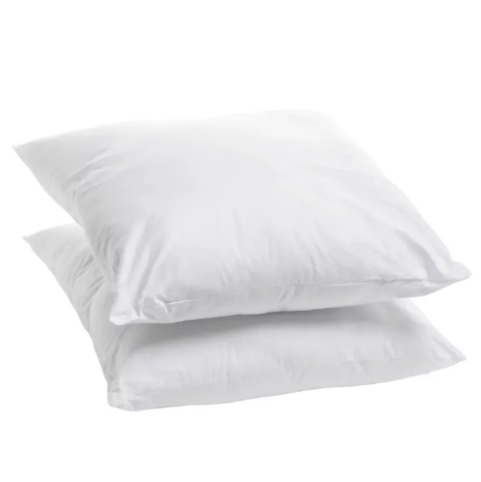 Lot de 2 Oreillers Moelleux 60x60cm COTON BIO