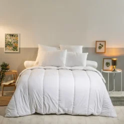 Lot de 2 Oreillers Moelleux 60x60cm Anti punaises DE LIT