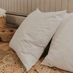 Lot de 2 oreillers Natura 65x65 cm Duvet & Plumess