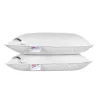 Lot de 2 oreillers naturels en plumes et duvet de canard, 50 x 75 cm - HOMESCAPES