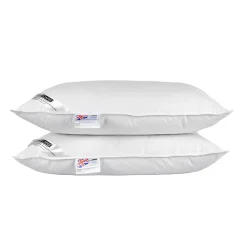 Lot de 2 oreillers naturels en plumes et duvet de canard, 50 x 75 cm - HOMESCAPES