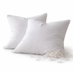 Lot De 2 Oreillers Plumettes Percale De Coton - 60x60 - 476