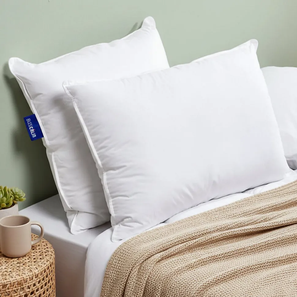 Lot de 2 oreillers Souple 50x70cm SENSATION DUVET Gonflant