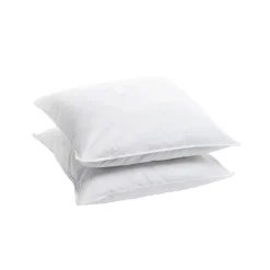 Lot de 2 oreillers Souple 60x60cm SENSATION DUVET Gonflant