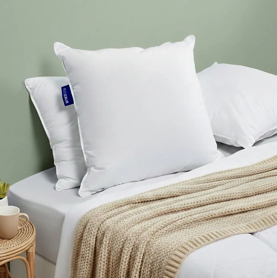 Lot de 2 oreillers Souple 60x60cm SENSATION DUVET Gonflant