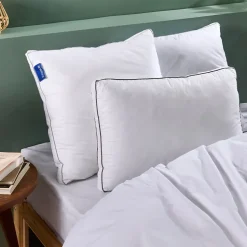 Lot de 2 oreillers Souple 50x70cm SENSATION DUVET PREMIUM Gonflant