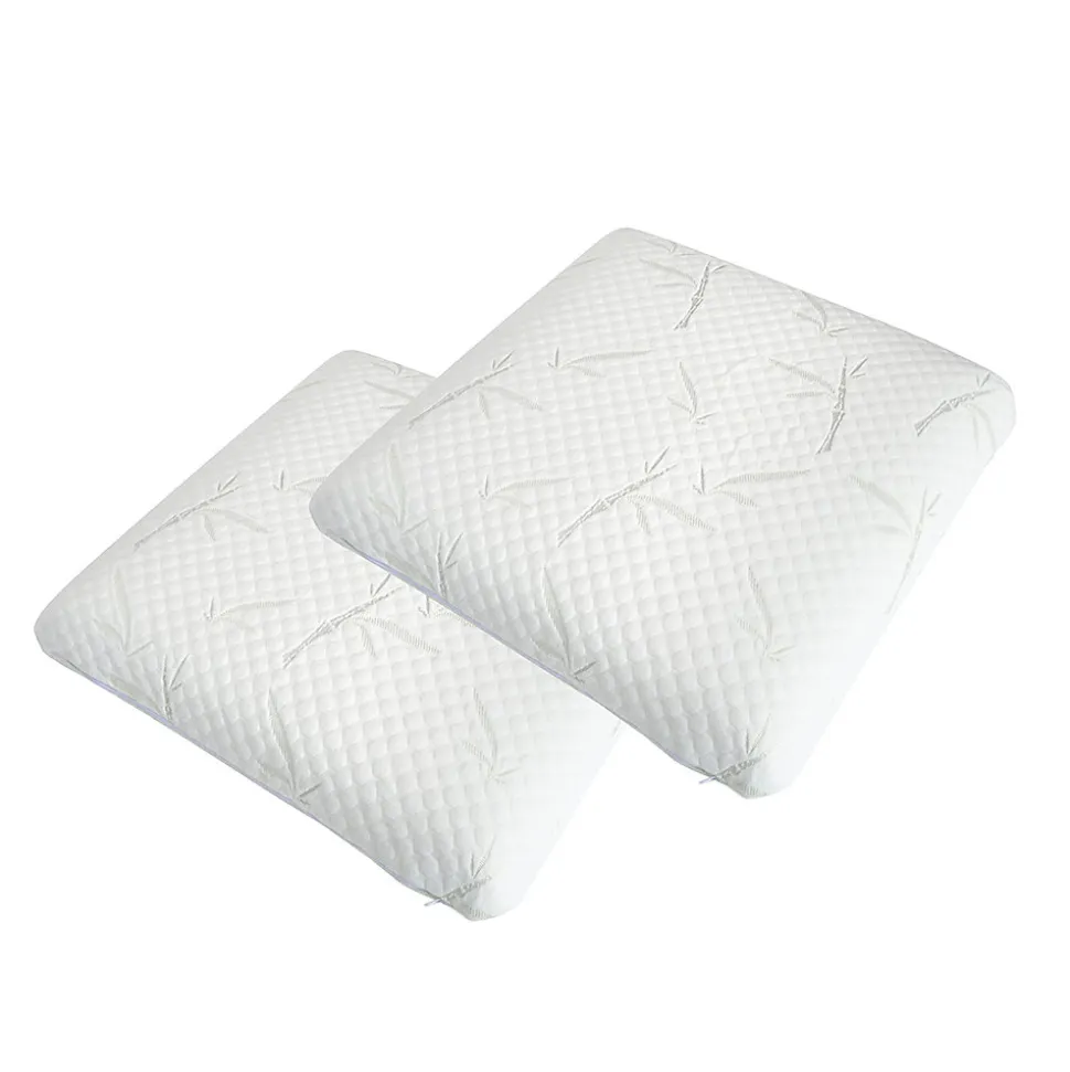 Lot de 2 oreillers Sérénité 60x60 cm Mémoire de forme