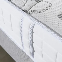 Matelas Essenzia MORPHOZONE 180 70x190 Latex