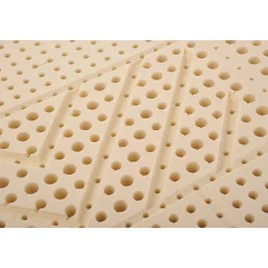 Matelas Essenzia MORPHOZONE 210 Relax 110x210 Latex