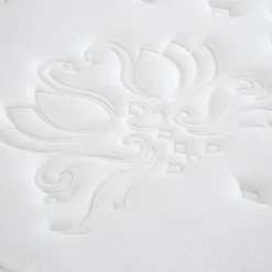 Matelas Mouse Suite Présidentielle 160x200 cm Accueil Mousse Supersoft