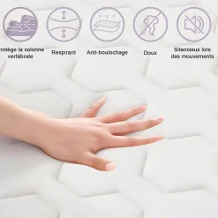 Matelas Ressorts 120x190 cm, Confort, 7 Zones Ergonomique,25 cm d'épaisseur