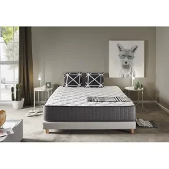 Matelas 105x190 cm en Mousse à Mémoire de Biothérapie epaisseur 30 cm +/-2 Fermeté moyenne-élevée. ECCOX