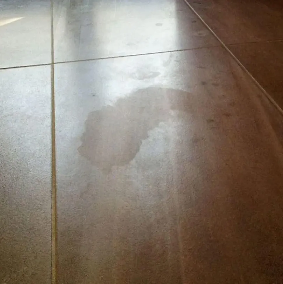 Nettoyant hydrofuge (5L) pour grès, pierre et béton. Élimine taches et les éclaboussures d'hydrofuges sur les surfaces poreuses